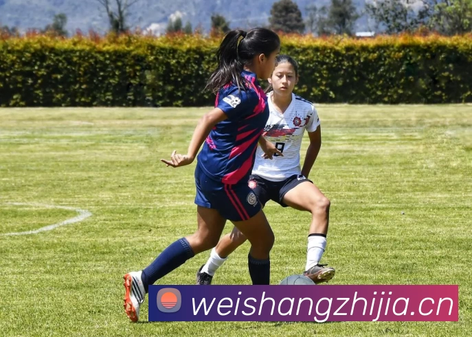 千亿官方站网站登录入口 - 千亿(中国)品牌故事